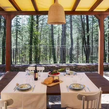 Podere Mocai - Cottage nel bosco Montieri Esterno foto