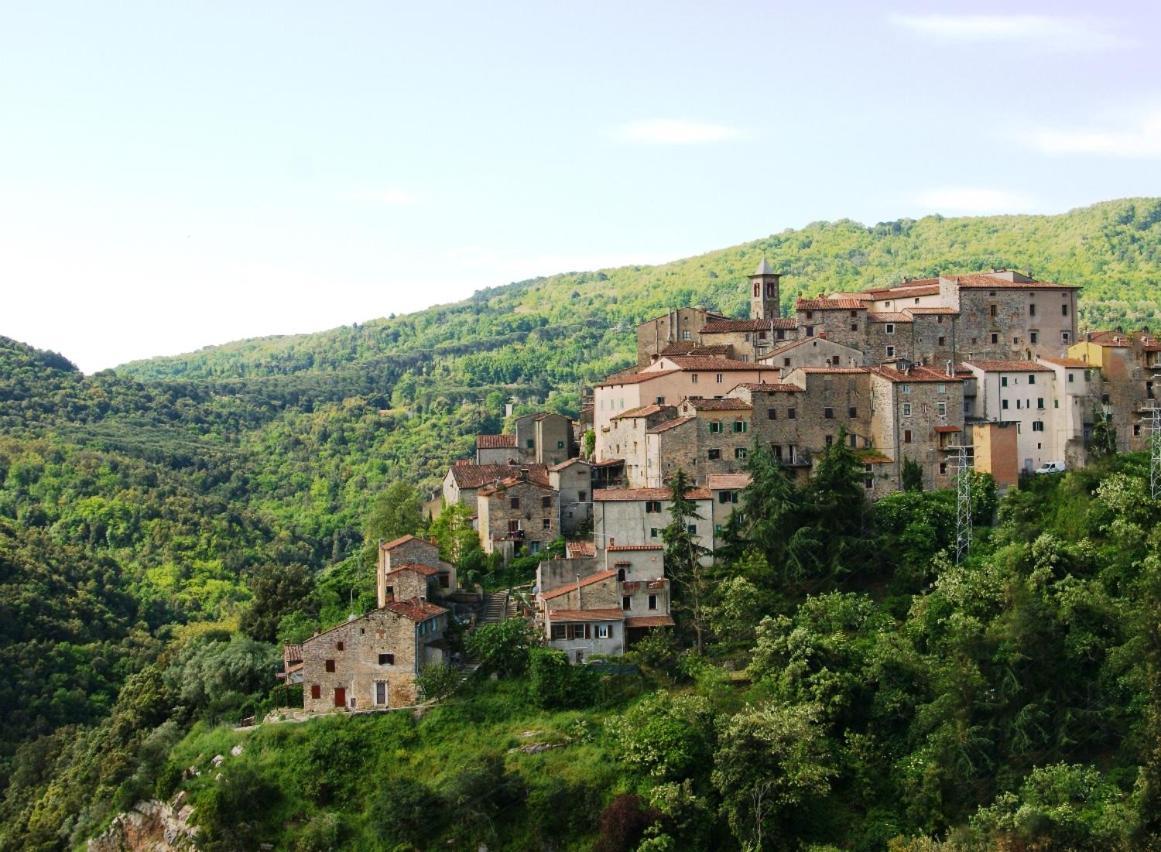 Podere Mocai - Cottage nel bosco Montieri Esterno foto